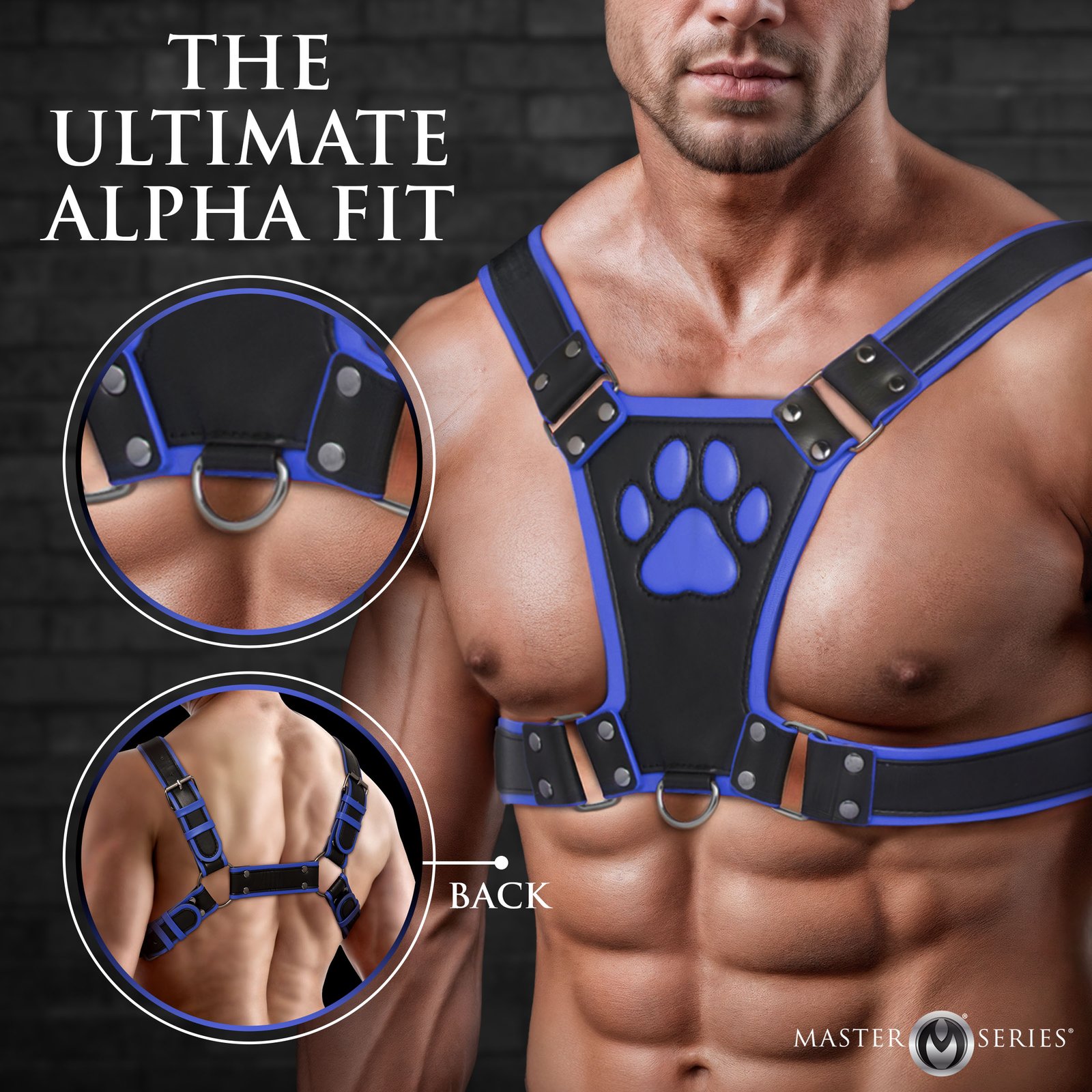 Alpha Pup Bulldog Harness - Blue - Image 2
