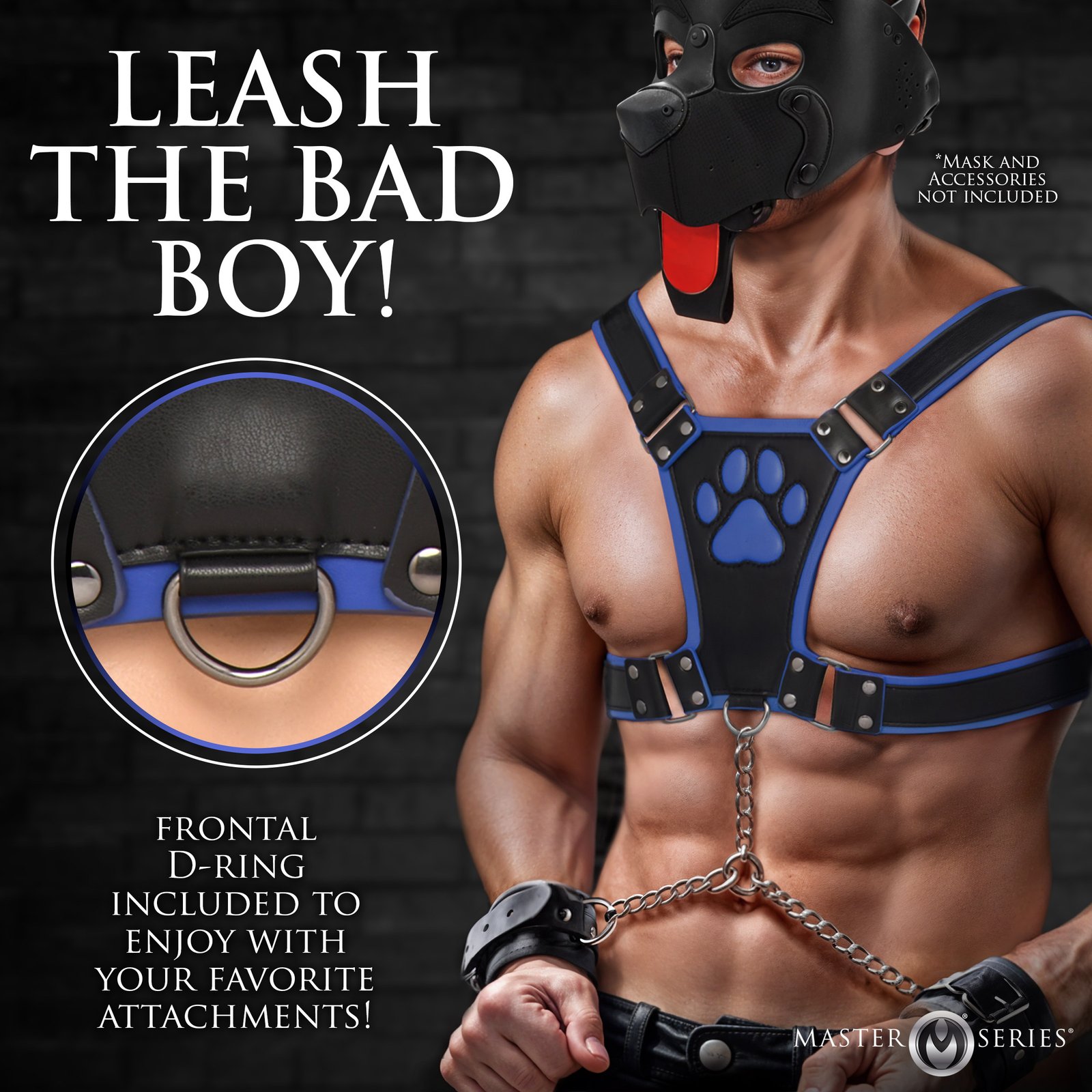 Alpha Pup Bulldog Harness - Blue - Image 3