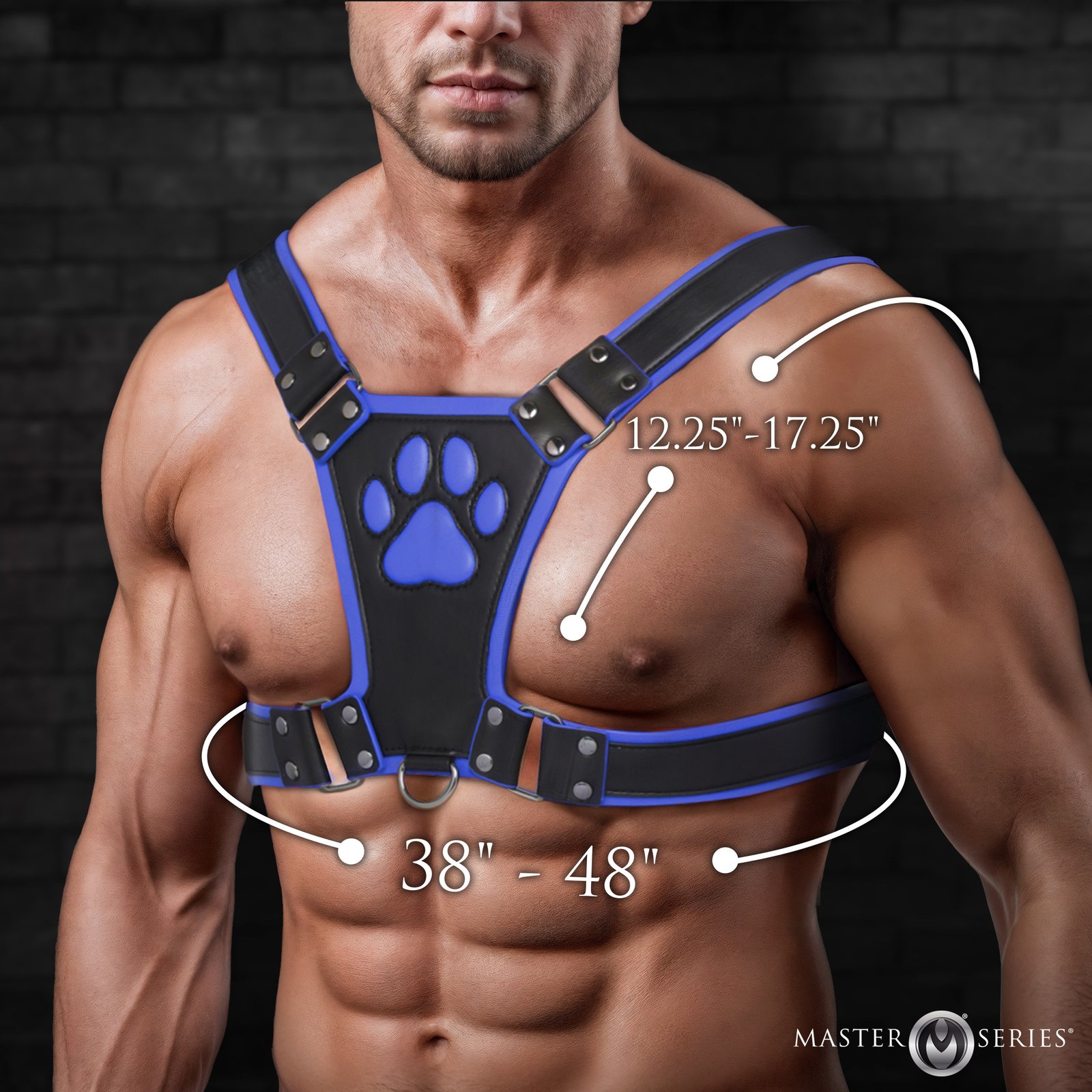 Alpha Pup Bulldog Harness - Blue - Image 4