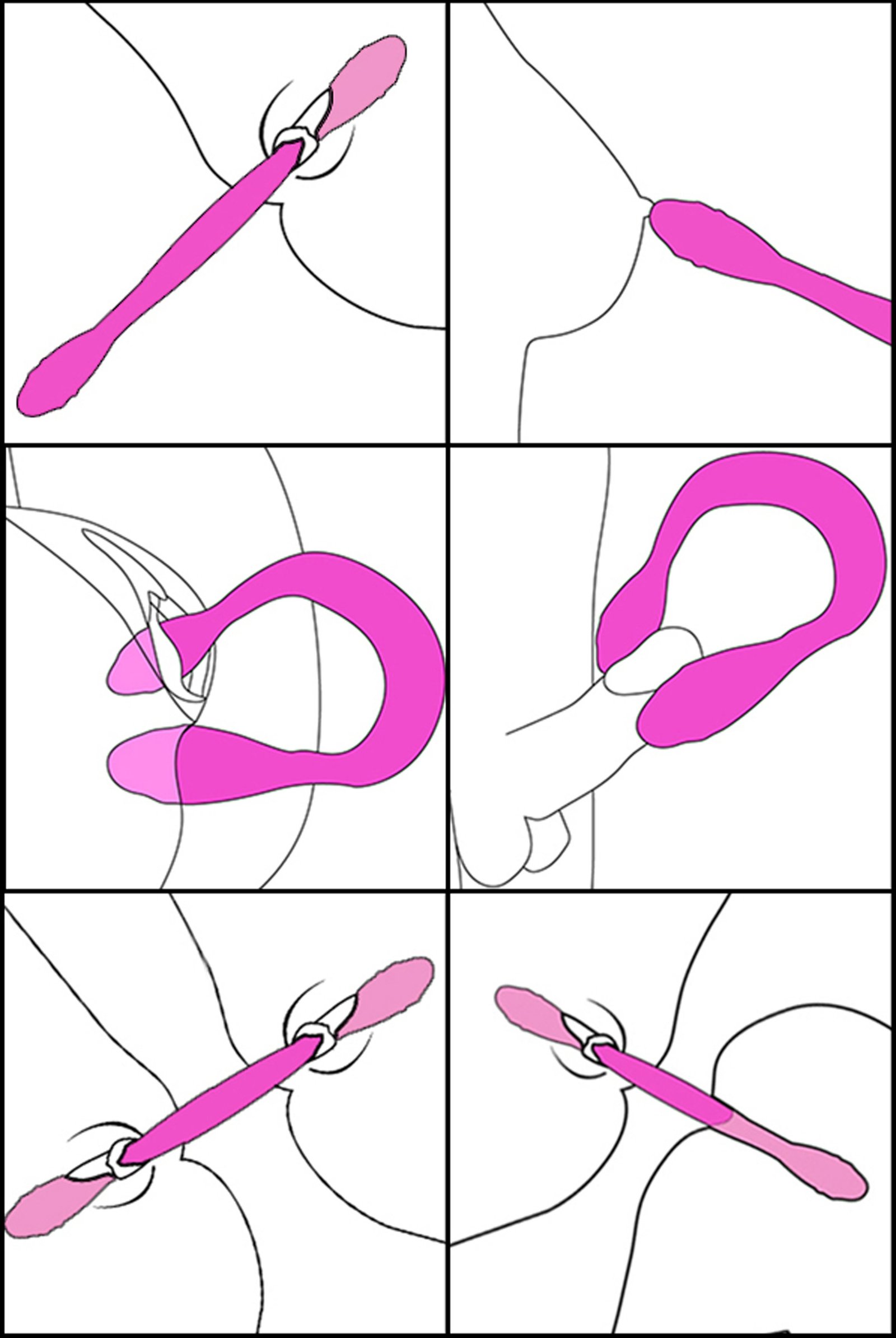 Double Thump 7x Rechargeable Silicone Double Dildo - Image 7