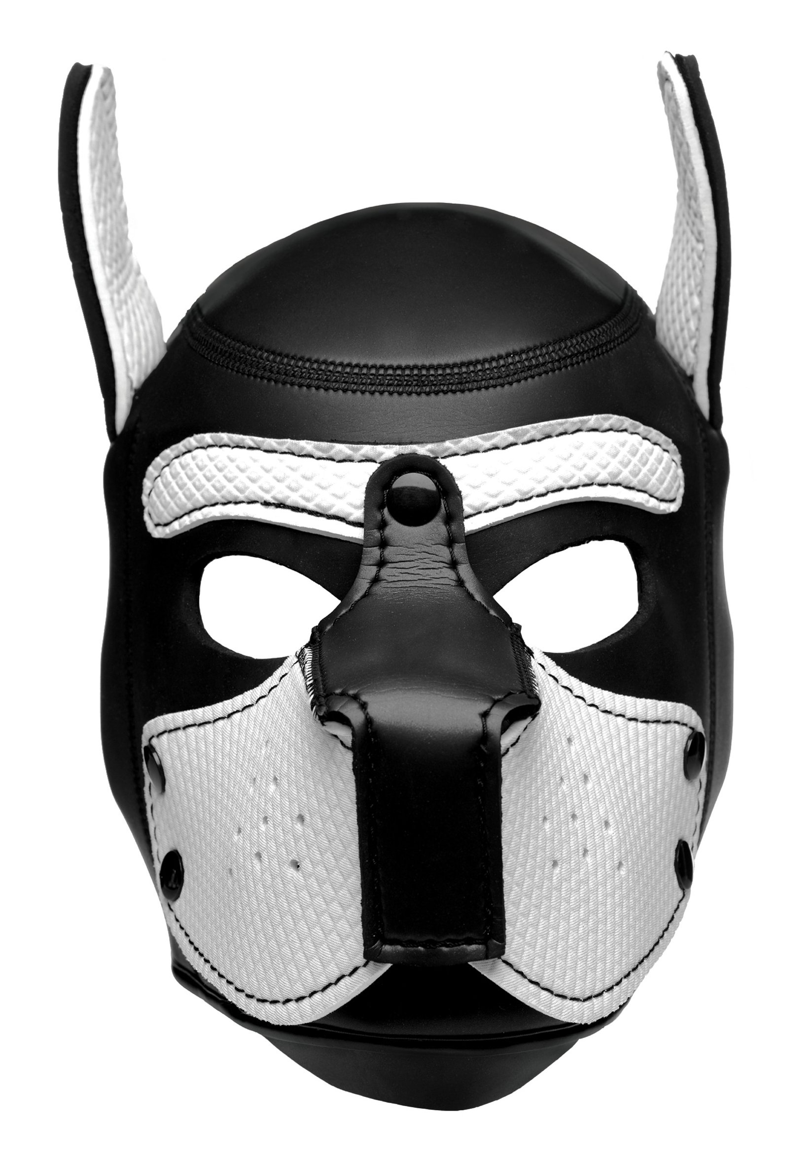 Spike Neoprene Puppy Hood - White - Image 4