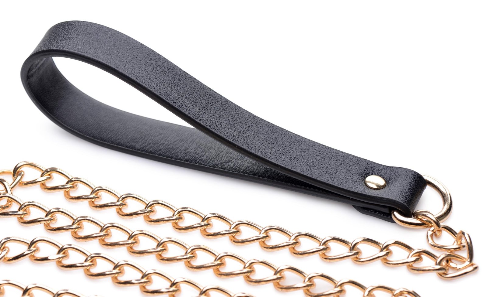 Black and Gold Collar with Leash Kit - Image 6