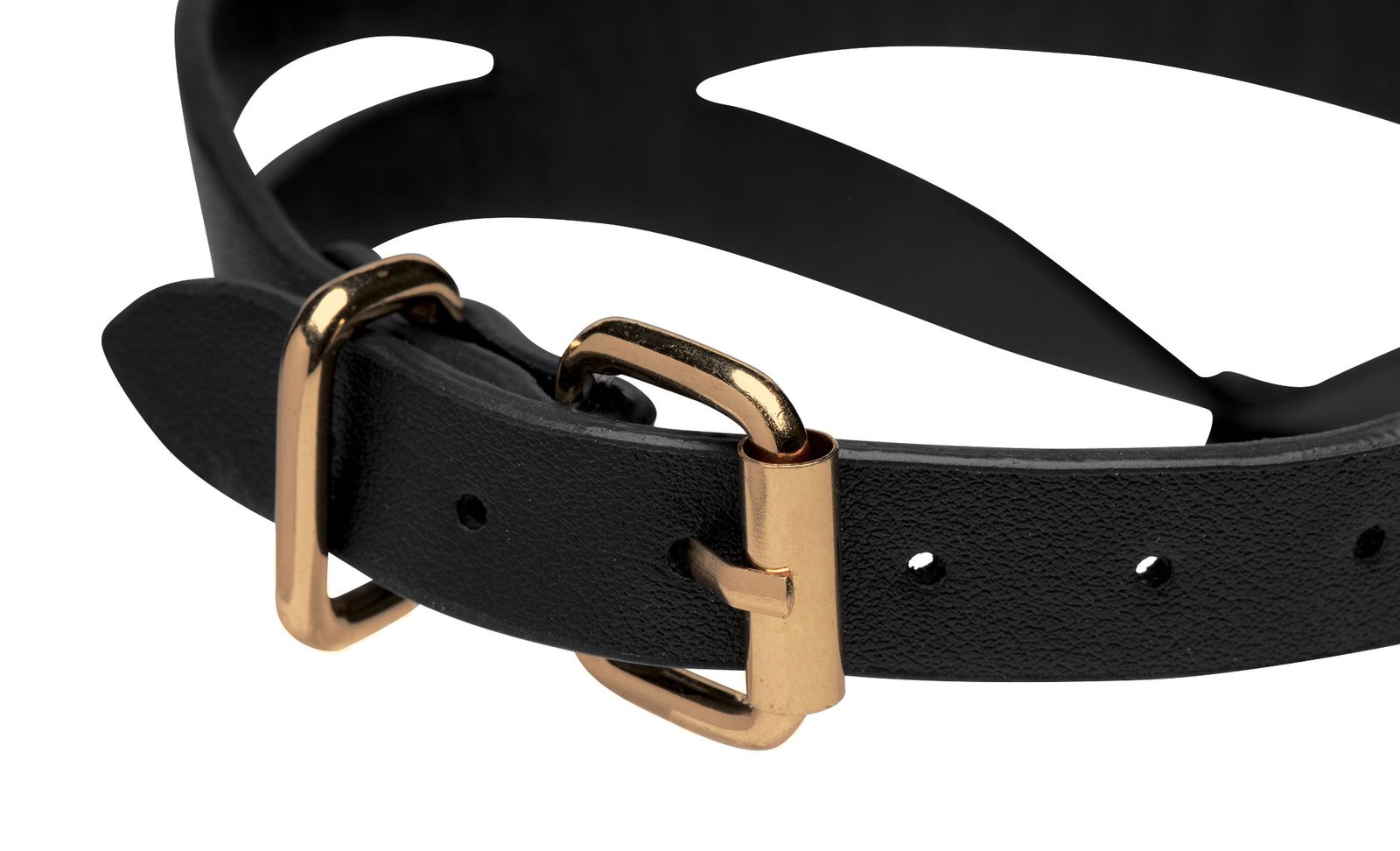 Black and Gold Collar with Leash Kit - Image 4